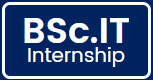 B.Sc IT Internship